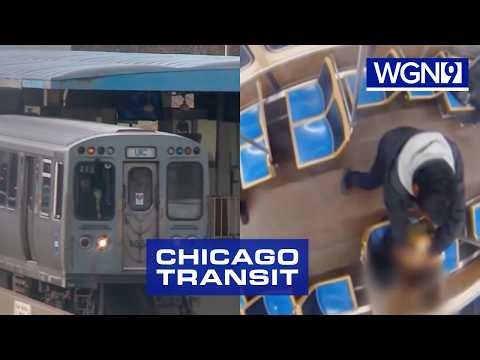 Chicago's CTA changes, safety concerns, crime rates & more transit news