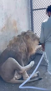 GLADIATOR BOKIDO on Reels