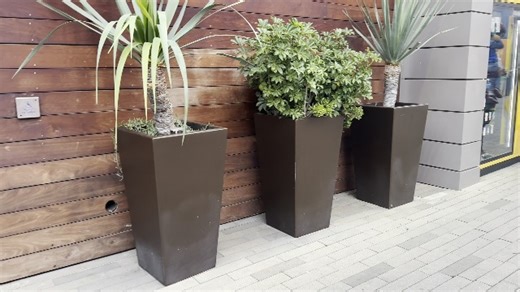 Watch How this planter looks in real time applications on Amazon Live