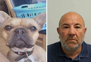 Dog photo and accidental selfies help uncover £45m drugs operation