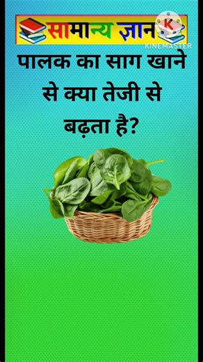 TOP 20 GK questions 100 GK Question and answer #gk #upsc #ssc #staticgk#gkfacts #gkquestion #ssccgl