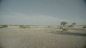 L.A. Dance Project @LADanceProject