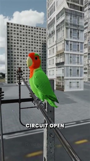 Why Birds Don't Get Shocked on Power Lines! ⚡