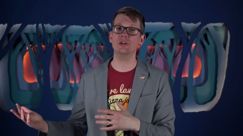 The strange thing that turns grasshoppers into locusts