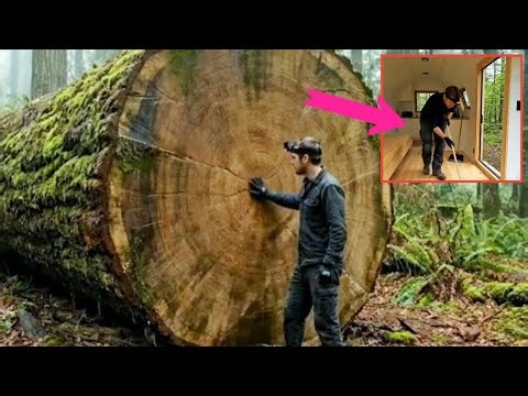 I Built a Modern Tiny House Inside a Giant Fallen Log!