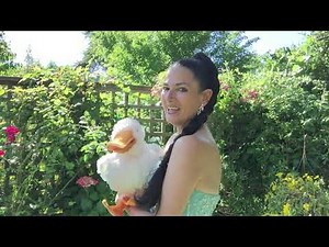 Happy Birthday Song - Princess And Daisy Duck Sing Happy Birthday Song - The Princess Channel