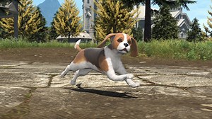 How to Get the Beagle Dog Royal Hound Minion in FFXIV