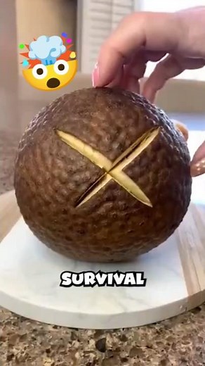 What If the World’s Best Survival Food Vanished Forever?