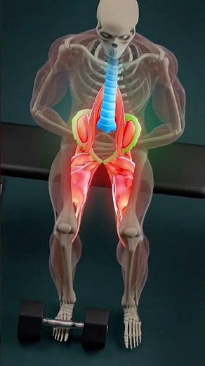 How to Train Hip Flexors Properly (Fix Weak Hips & Lower Back Pain) #shorts