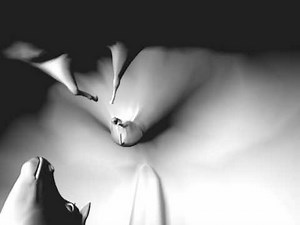 4-Dimensional Rotation