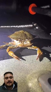 1.9M views · 30K reactions | Cambio de exoesqueleto #fishing #fisherman #bassfishing #angler #fish #fishingdaily #fishingday #fishinglife #fishingislife #fishingtime #fishingtrip #fishing #fishingday #ocean #oceangirl #peace #fun #funtimes #enjoylife #fishing #fish #fisherman #fishingdaily #fishinglife #fishinglures #fishing #lurefishing #swimbaits #bassfishing #fishingtime #fishingtrip #angler | Dr Pesca | Facebook