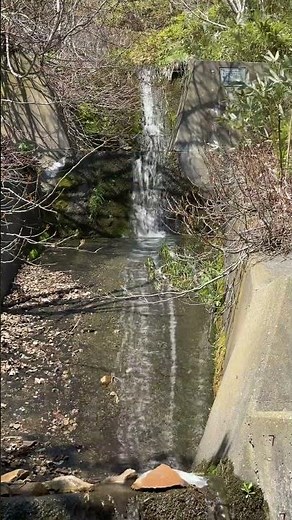 【坂の下の心地良い滝の音】 自然音 寝落ち 睡眠用 水の音 shorts clear water stream relaxation healing 環境音