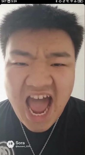 다이노포스TV 강서윤