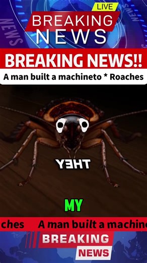 Cockroach Grape Machine: A Unique Invention