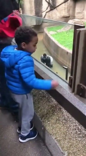 watch untill the end...