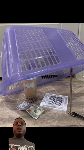 How to catch a girlfriend. 瘝 | Solid Brick Nino | Facebook