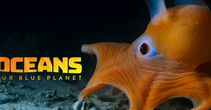 Oceans 3D