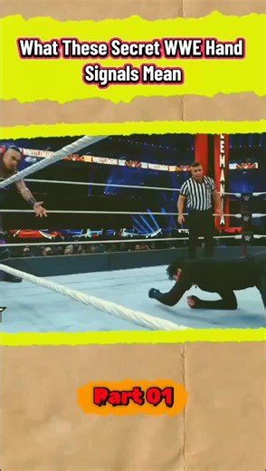 What These Secret WWE Hand Signals Mean #foryou #wwe #fyp | Hand Gestures Meaning