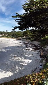 Here’s your reminder to appreciate all that makes Carmel truly special and travel responsibly. 🏡 The Love Carmel Like A Local program encourages visitors to make a positive impact with helpful Know Before You Go tips and unique Voluntourism opportunities. 🌿 Let’s work together to cherish and protect this beautiful place. Learn how you can get involved, click the link in our bio for more information. 🎥: @polyisepanphotography | Carmel by the Sea