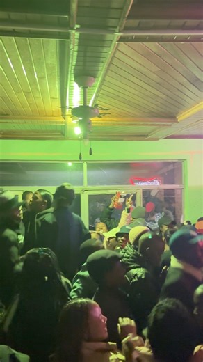 Wild Wild Nights #TheWild | The Wild