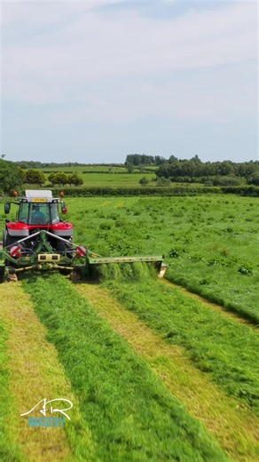 Dropping Grass with Krone Triples on 7719s Tractor