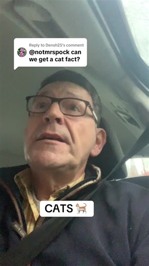 Interesting Cat Names and Their Meanings Explained