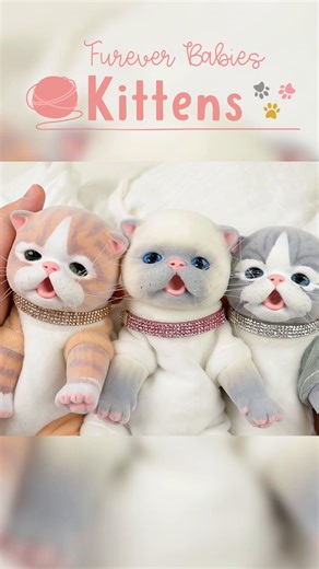 Paw-sitively adorable! 🐾 Meet all 3 Furever Kittens—Balinese, Tabby, and Orange Tabby! In honor of National Pet Day, they’re part of a BOGO 50% OFF deal! Snuggle up with your favorites before this offer scampers away! 🐱💕 #FureverKittens #ParadiseGalleries #NationalPetDay #Kittens Shop Now! ➡️ https://www.paradisegalleries.com/collections/reborn-pets-furever-babies-collection | Paradise Galleries