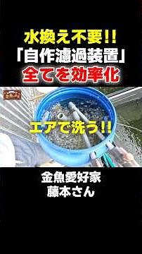 [No More Water Changes] A Goldfish Hobbyist Solved the Most Annoying Part of Tank Maintenance #sh...