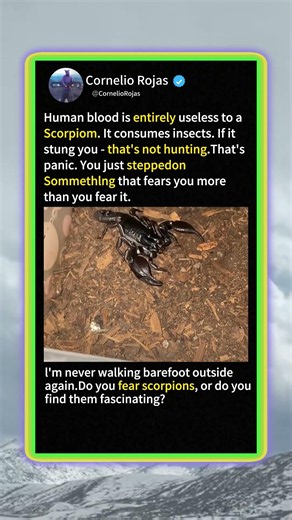 The Real Reason Scorpions Actually Sting You! 🦂 #Nature #Wildlife #Scorpions