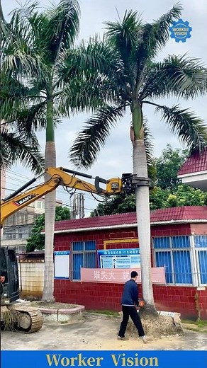 Smart Engineering 🌳 Perfect Sync Between Worker And Excavator.