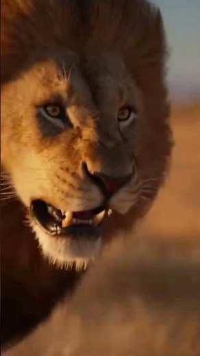 Lion vs Sable Antelope 🦁💥 Savage Hunt in Slow Motion