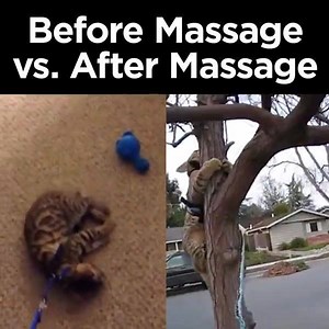 95K views · 451 reactions | Massage anytime, anywhere: there's an app for that. Book a massage with us today. | Soothe | Facebook