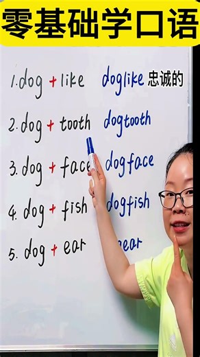 零基础学口语，建议影子跟读！简单又实用句子！