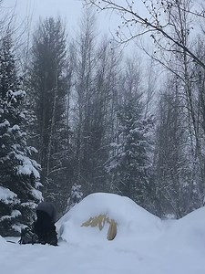 Winter Storm Camping | Mighty Banana