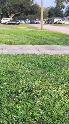 Emilio (@el3milio1)’s videos with La del Moño Colorado - Los Pedernales