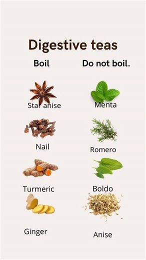 Carla M. | Improve your Gut Health on Instagram: "Infusion and decoction are two distinct methods for preparing teas, and the main difference between them lies in the type of plant used and the heating time. Infusion is the ideal method for plants with more delicate parts, such as leaves and flowers. In this process, water is heated almost to boiling point (around 90°C) and then poured over the plant material. The herbs steep for about 5 to 10 minutes, releasing their active compounds, such as e