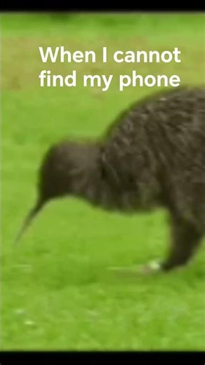 Me when I cannot find my phone.#find#phone