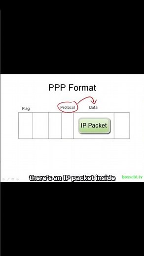 The Field That Changed Everything for PPP