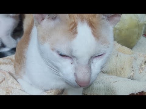 shashasha 0709 is live!hi friend's 🥳🥳🥳💥😤