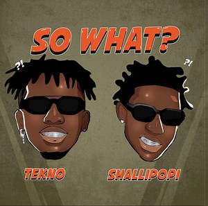 New Music: Tekno feat. Shallipopi — So What?