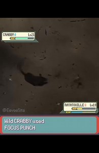 🤣😂 fury swipes | Pokémon Puerto Rico
