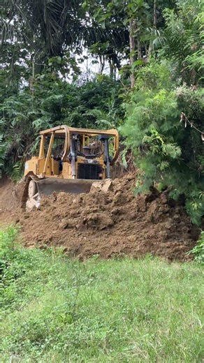Why the D6R XL Bulldozer is Favored by Plantation Contractors