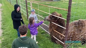 7.7K views · 360 reactions | Hey everyone! Jacob did some nosing around recently and wanted to share with everyone some of the cool things about him here at the park  Hope you all enjoy  | Discovery Wildlife Park | Facebook