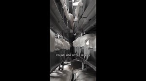 Why California scientists consider mushrooms our climate change ally