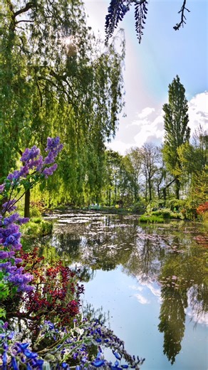 This could be your experience when you travel France in the spring. Take in the famous water lilies, graceful willow trees and Japanese bridges on our included excursion to Claude Monet's gardens. Share this with someone who loves flowers! #ClaudeMonet #SpringSeason #FlowerGardens #France #RiverCruise #AmaWaterways | AmaWaterways
