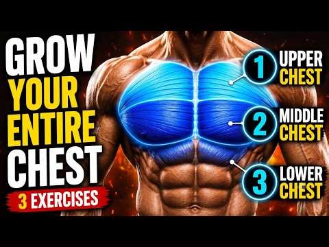 The 3 Best Chest Exercises for Maximum Growth