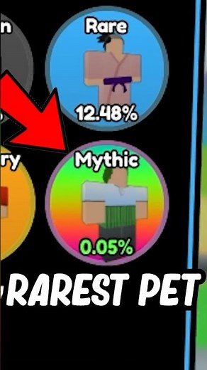 I Got RAREST PET in Roblox Anime Sword Fighters Simulator..