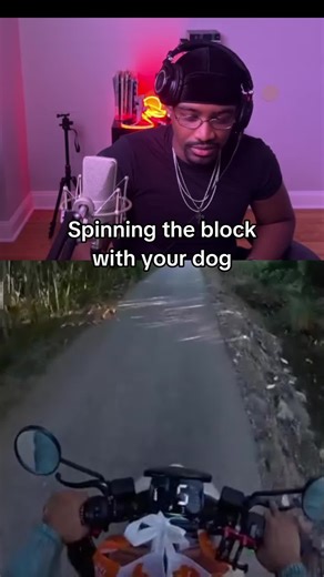 Spinning the Block with Your Dog: A Hilarious Adventure
