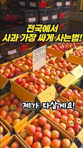 여기! 전국에서 한국사과 싸게 사는 방법 제가 다 살게요.! #사과 #과일 #폭락 #중국산 #먹거리 #먹방 #국산