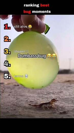 Ranking Funniest Bug Fails #insects #humor #viral